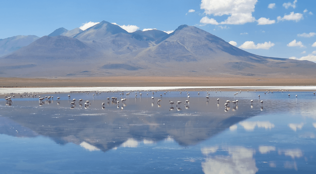 Lagunas - Bolivia