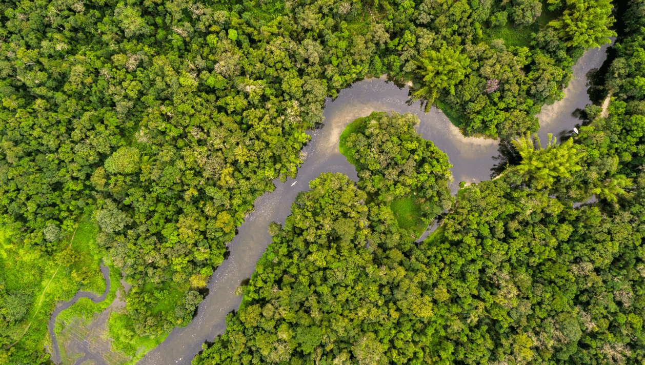 Río Amazonas - Amazonas