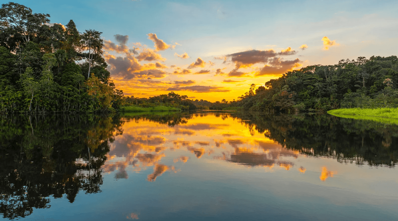 Majestuoso Amazonas - 4 días