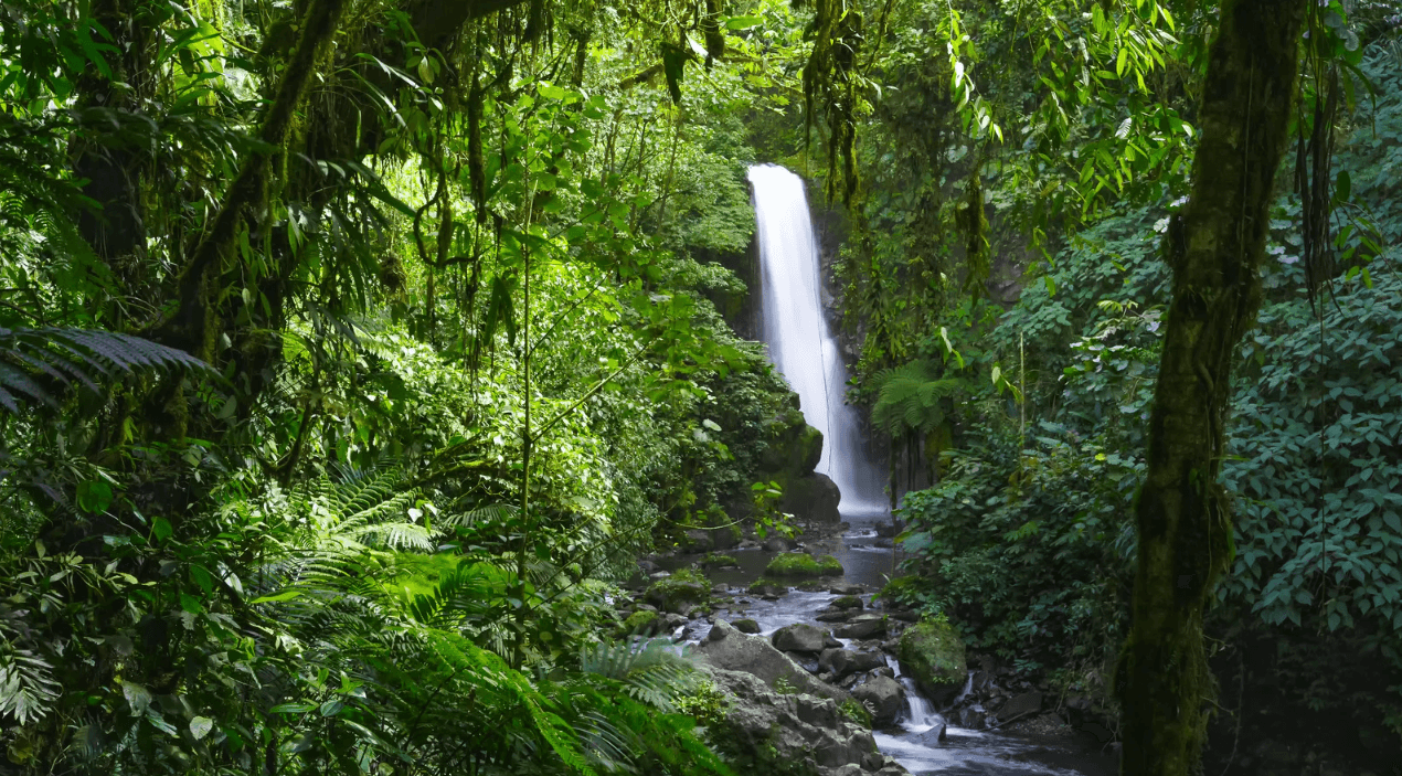 La Paz Waterfall Gardens