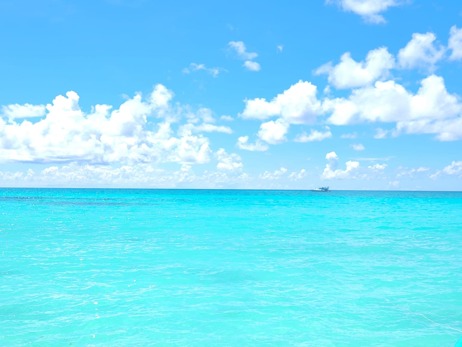 Punta Cana Mar